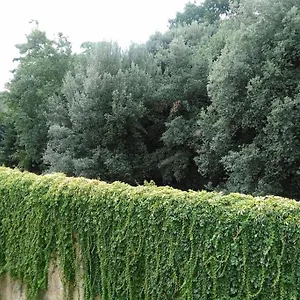 Un'angolo Incantato Florencia